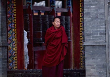 秋日物语-纪实-自驾游旅拍-旅行-人像 图片素材