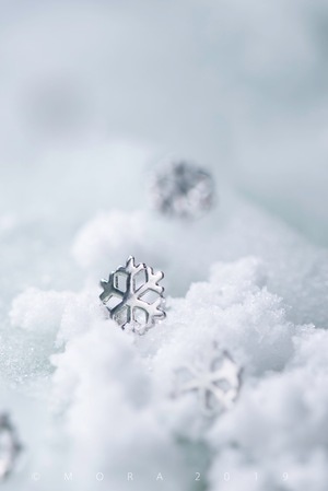 雪-静物-冬天-雪花-雪 图片素材