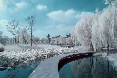季节-旅行-红外摄影-风景-树 图片素材