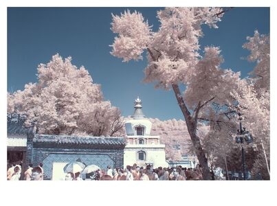 红外摄影-季节-旅行-蓝天-塔尔寺 图片素材