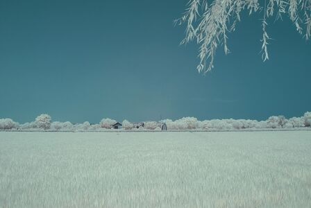 冬日暖阳-蓝天-旅行-季节-红外摄影 图片素材