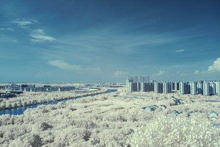 红外摄影-季节-旅行-蓝天-城市 图片素材