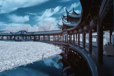 春天的故事-复工-我要上封面-旅行-季节 图片素材