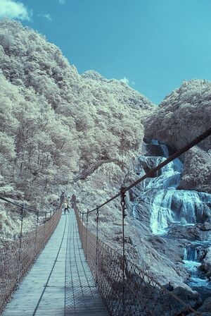 季节-旅行-红外摄影-吊桥-风景 图片素材