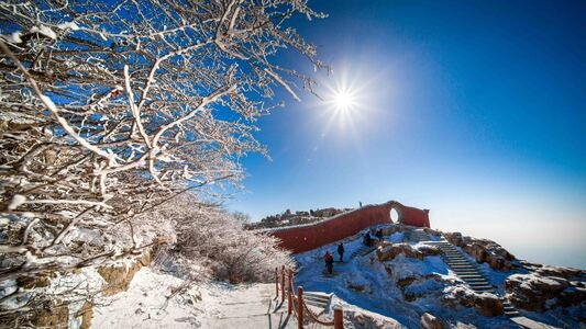 冬日暖阳-泰山-风光-风景-树 图片素材