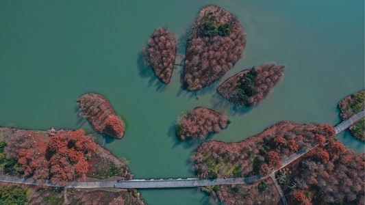 湘湖-杭州-航拍-风景-湖 图片素材