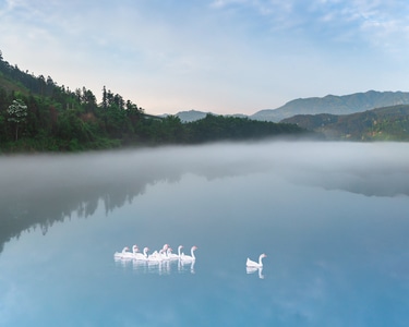 农业-生态乡村-旅行-旅游目的地-户外 图片素材