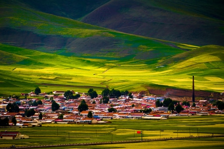 旅行-图一乐-油菜花-画-田地 图片素材