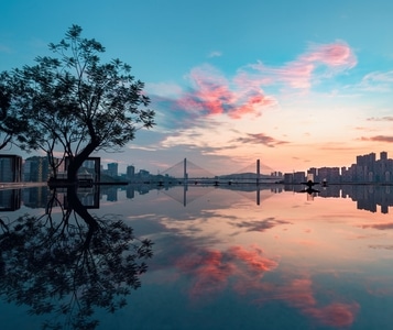 我的2019-倒影-桥梁-建筑-树 图片素材