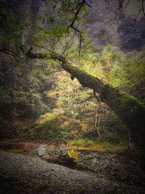 五溪山-皖南-手机-五溪山-山 图片素材