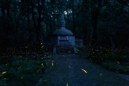夏日-夜晚-萤火虫-墓地-坟墓 图片素材