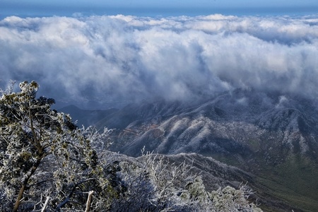 你好2020-霜-雪-风景-风光 图片素材