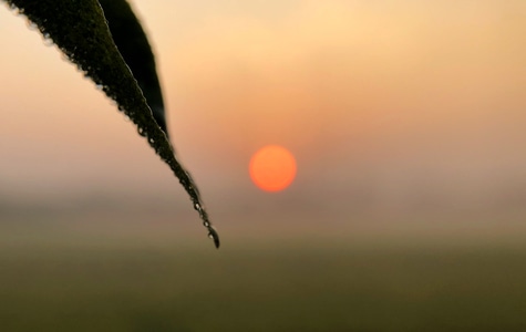 她说-雾霾-太阳-红日-朝阳 图片素材