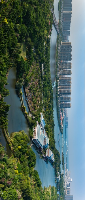 厦门-城市-旅行-建筑-园林 图片素材