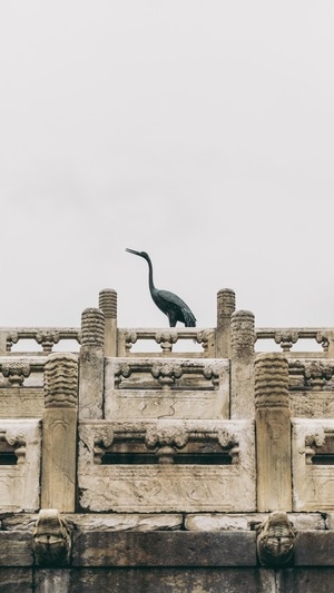 旅游-旅行-色彩-纪实-纪实随拍 图片素材
