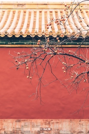 纪实随拍-旅行-色彩-探索-纪实 图片素材