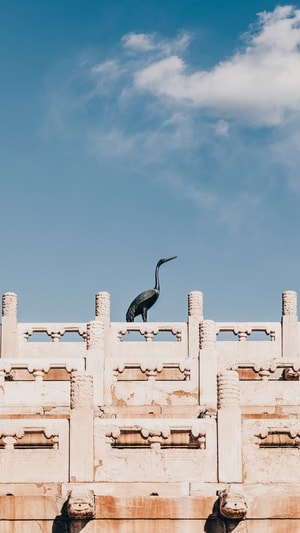 日常记录-纪实随拍-建筑随拍-旅拍-风景 图片素材