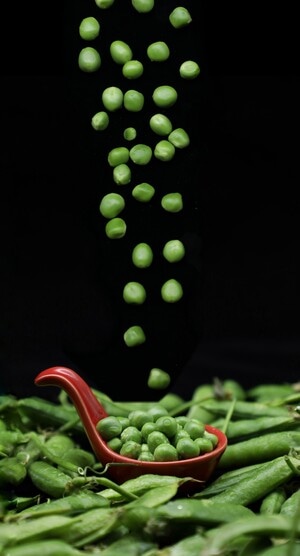 静物-创意-豌豆-豌豆-勺子 图片素材