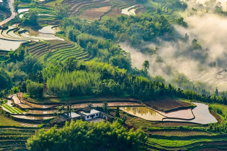 长宁-风光-光影-风景-农田 图片素材