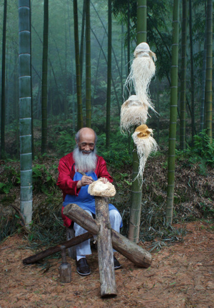 人文-抓拍-老人-男人-男性 图片素材