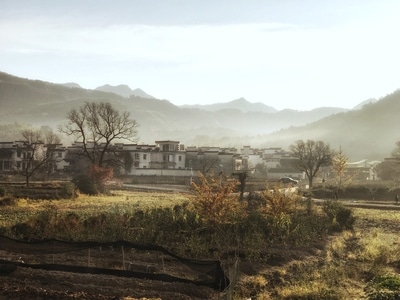 秋色-风景-自然-风景-房屋 图片素材