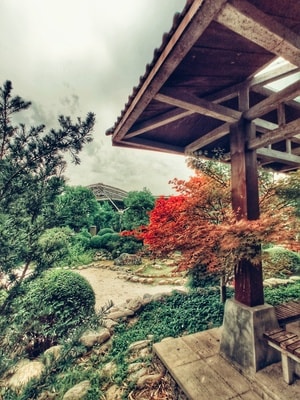 黑白-街拍-胶片-院子-庭院 图片素材