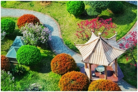 植物-色彩-自然-建筑-亭子 图片素材