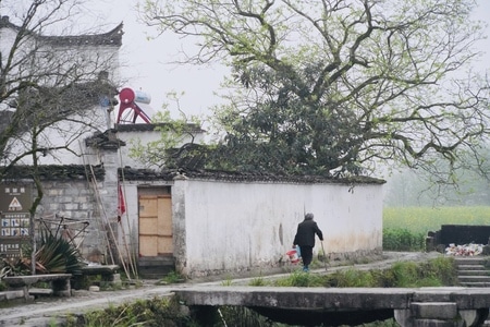 旅行-村落-村落-房屋-树 图片素材