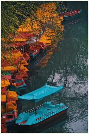色彩-静物-风景-湖-湖水 图片素材