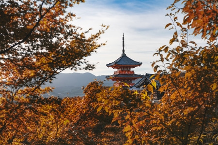 旅行-日本-日落-晚霞-海边 图片素材