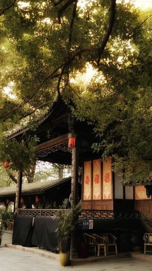 你好2020-手机摄影-戏台-建筑-树木 图片素材