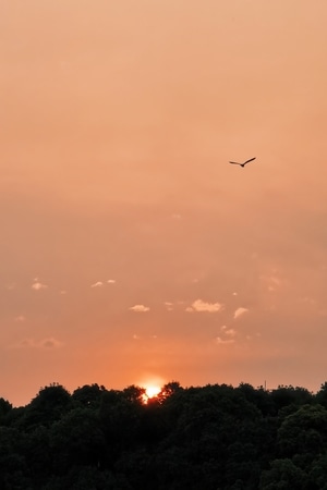 手机摄影-浣花溪-风景-夕阳-日落 图片素材