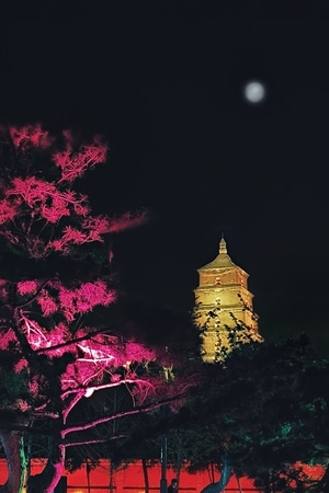 手机摄影-夜景-创意后期-古建筑-大雁塔 图片素材
