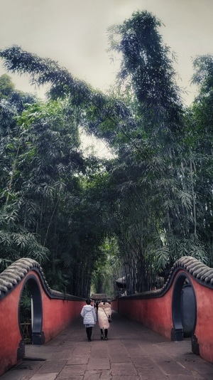 景点打卡地-杜甫草堂-道路-石板路-杜甫草堂 图片素材