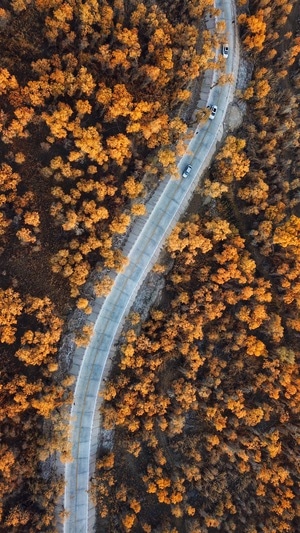 你好2020-新疆-纪实-风光-艺术风光 图片素材