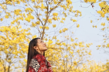 旅拍-风景-人像-色彩-花 图片素材
