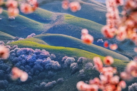 我要上封面-聚影公社-风景-艺术风光-纪实 图片素材