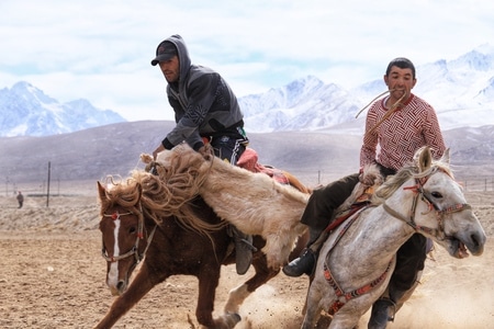 旅行-风光-vlgo-大美新疆-艺术风光 图片素材