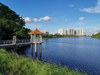 色彩-盛夏-自然-拍客-手机摄影 图片素材