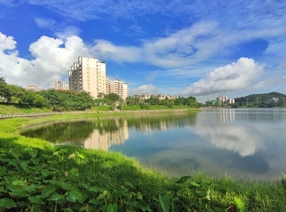 阳江市-自然-生活摄影-尘世烟火-我要上封面 图片素材