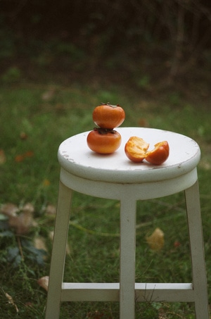 生活有爱-记录-秋天-板凳-柿子 图片素材
