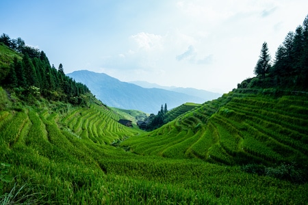 随拍-在路上-岸边-古镇-风景 图片素材
