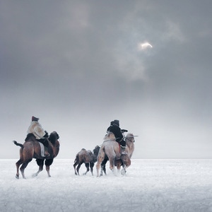 雪原-冬日-牧人-骆驼-风景 图片素材