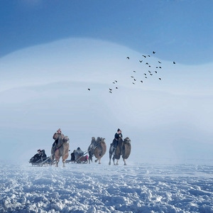 雪原-冬日-人物-骆驼-远山 图片素材