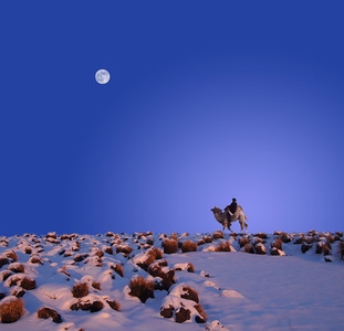 武汉加油-冬日-雪原-骆驼-牧人 图片素材