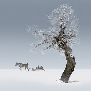雪原-雾淞-树-马-人物 图片素材