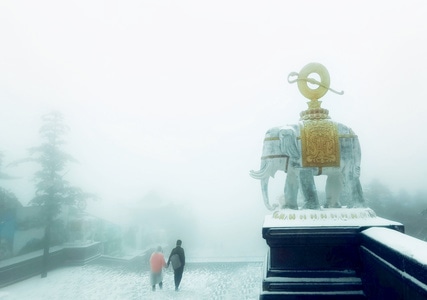 手机-华为-早晨-雪-雾 图片素材