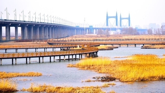 原创-码头-小河-湖-河流 图片素材