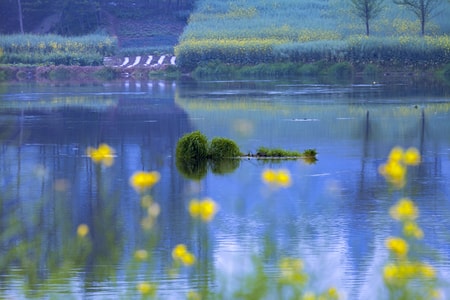 春-雨-花-人-风景 图片素材