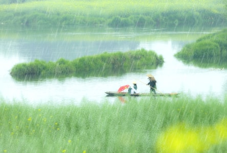 春-雨-花-人-湖 图片素材